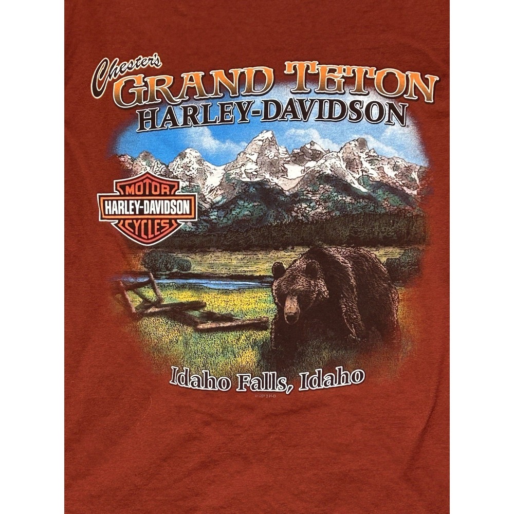 2013 Harley Davidson Grand Teton Idaho Falls Tee Cyan Biker Graphic Shirt Size L - Picture 12 of 13